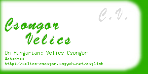 csongor velics business card